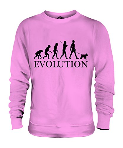 Sweat-shirt Schnauzer Miniature Évolution idée cadeau anniversaire originale unisexe