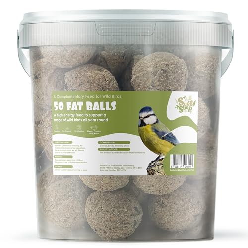 Suet Shop - 50 Suet Fat Balls 4kg Tub - Enriched with Human Grade Beef Tallow - High Energy Bird Food with Essential Oils & Protein - All-Season Fat Balls for Wild Birds - Manufactured In The UK