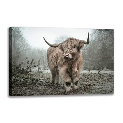 Toile foret et vache Highland 40 x 60 cm : une impression murale aux details saisissants