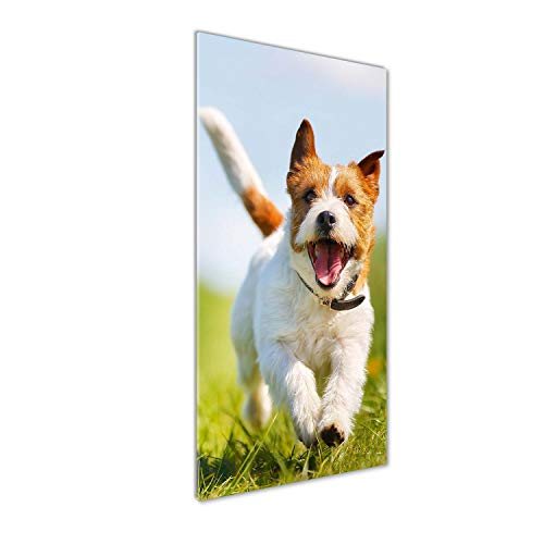 Impression sur verre acrylique Tulup Jack Russell de luxe