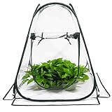 Junejour 27'x27'x31' Mini Greenhouse for Indoor Outdoor, Small Greenhouse for Indoor Outdoor, Green...