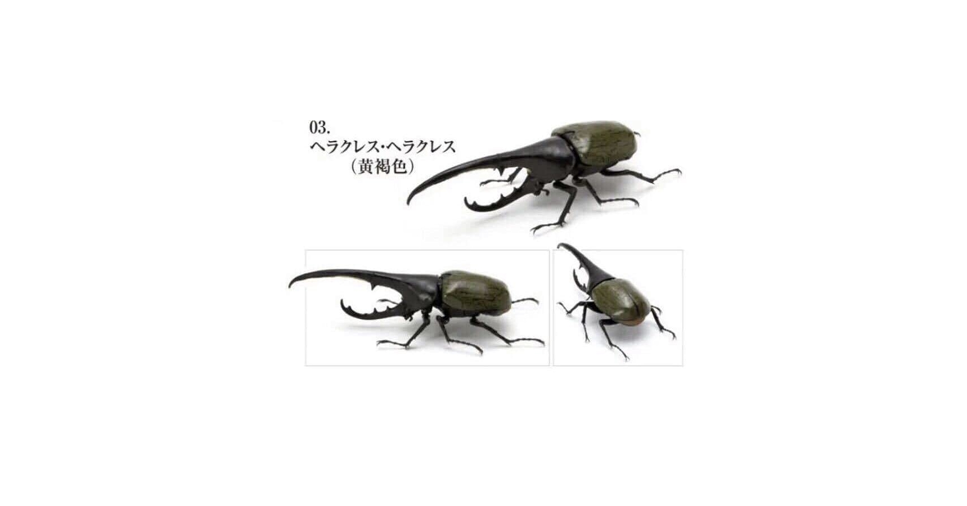 Amazon.co.jp: いきもの大図鑑 かぶとむし01 ヘラクレス