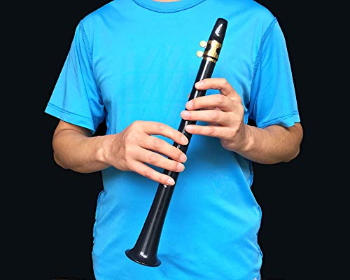 Hixing Pocket Saxophone, Mini Saxophone,Simple Sax，Suitable For Adult Students And Beginners #TOP4