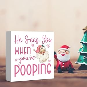 Funny christmas bathroom decor pink christmas decoration funny christmas gift christmas decorations for bathroom wooden box sign for home farmhouse office living room table shelf tiered desk decor  urban country home decor