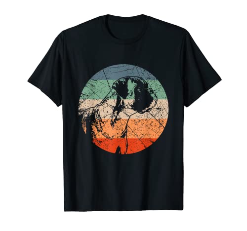 Retro-Hunde-Silhouette – Vintage-Boxer T-Shirt