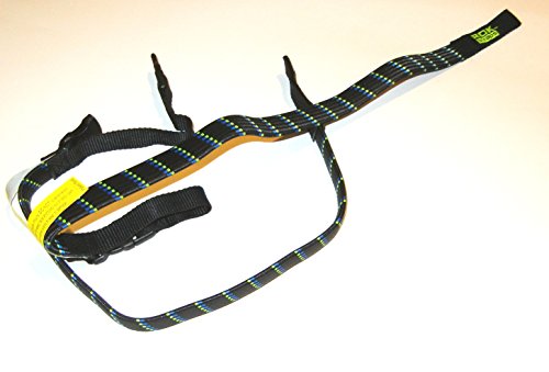 Image of ROK Straps 24 inch x 3 /4 inch Motorbike Luggage Stretch Strap 2 Pack Black /Blue