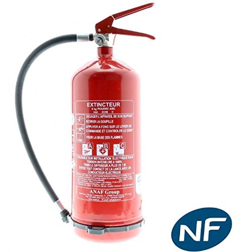 Estintore a polvere da 6 kg, NF, 2018