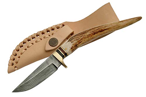 SZCO Supplies Stag Spike Hunting Knife