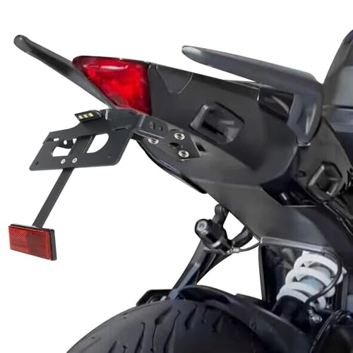Support plaque Triumph Tiger 660 pour balades et sorties
