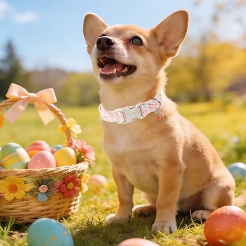 Image of Easter Day Dog Collar, UP URARA PUP Easter Bunny Adjustable Pet Collar with Quick Release, Colorful Rabbits Dog Collars for Small Medium Large Dogs