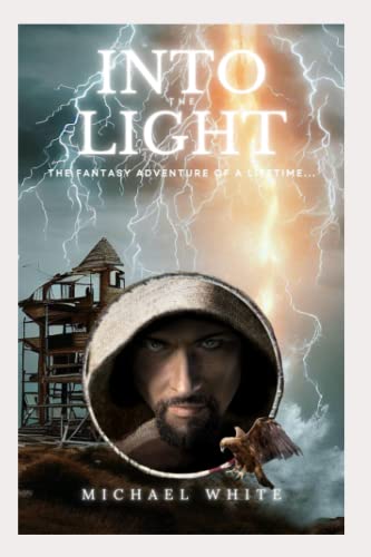 Cover of Into the Light: Lost in Translation