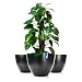 Produktbild BigDean 3X Blumentopf L ø 40 cm mit herausnehmbaren Innentopf anthrazit - wetterfeste Pflanzschale aus bruchsicherem Kunststoff - Pflanzkübel groß Außen & Innen geeignet
