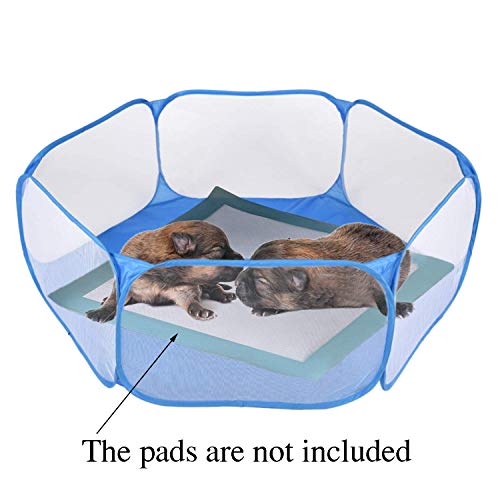 RYPET Guinea Pig Playpen - Breathable & Transparent Pet Playpen Pop Open Outdoor/Indoor Exercise Fence, Portable Yard Fence for Guinea Pig, Rabbits, Hamster, Chinchillas and Hedgehogs - Thumbnail 3