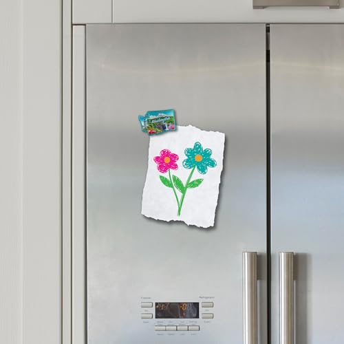 Imán decorativo para refrigerador Washington pequeño miniatura 3
