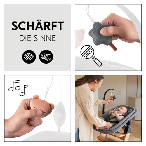 hauck Spielbogen für Highchair Bouncer Babywippe (nicht mit anderen Modellen kompatibel), mit Quietsch und Rassel Effekt, Verstellbarer Winkel, Einfache Befestigung an der Wippe (Bear)