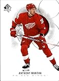 2020-21 SP Authentic #14 Anthony Mantha Detroit Red Wings Hockey Card