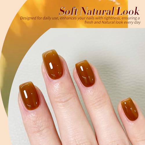 Born Pretty Jelly Gel Nail Polish Transparent Gel Polish,Brown Blood Wine Red Orange Green Blue,Soak Off U v LED Light Cure Nail Art Kit for Salon and DIY at Home