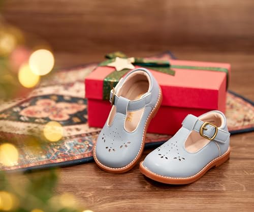 Image of GINFIVE Toddler Girls Dress Shoes Little Kids Flats School Mary Janes Shoes