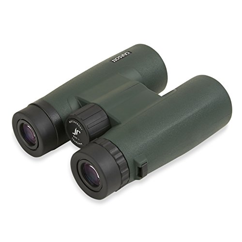 Carson Jr Series 10X42Mm Full Sized Waterproof Binoculars For Bird Watching, Hunting, Sight-Seeing, Surveillance, Concerts, Sporting Events, Safaris, Camping, Travel And Outdoor Adventures, Green #TOP3
