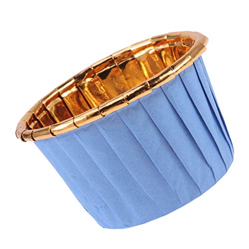 100ĝ JbvP[LJbv ϔM u[ S[h 킢