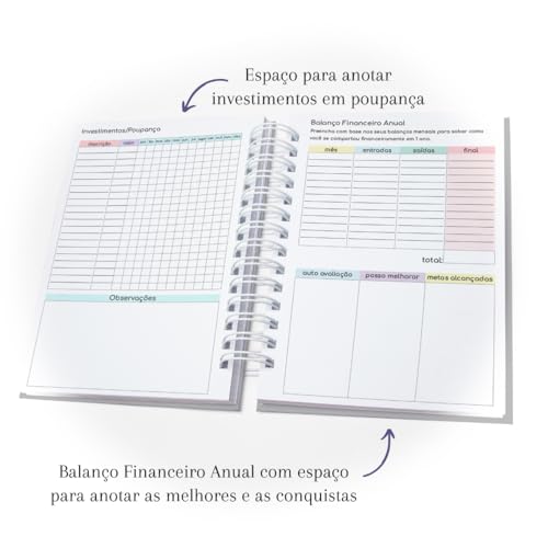 Planejador Financeiro - Minhas Contas Organizadas Capa Dura Pastel