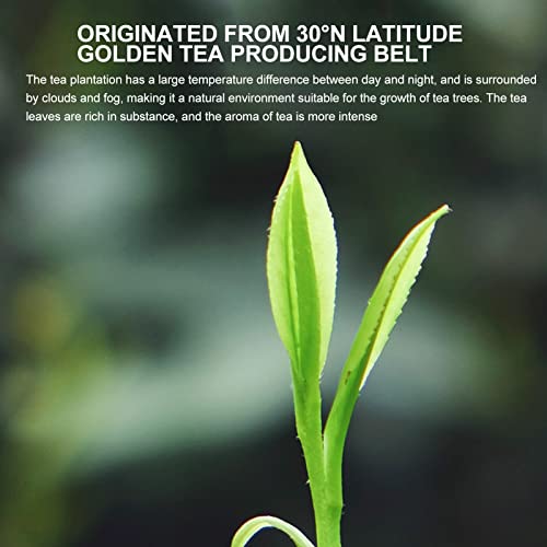 Chá Longjing, Chá Verde Dragon Well Da China, Colhido Antes De QingmingEscolhido Antes Do Brilho Pur