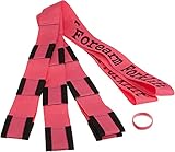 Forearm Forklift 2-Person Lifting and Moving Straps - Lift, Move and Carry Furniture, Appliances, Mattresses or Any Item up to 800 lbs. Safely and Easily Like a Pro, Hot Pink