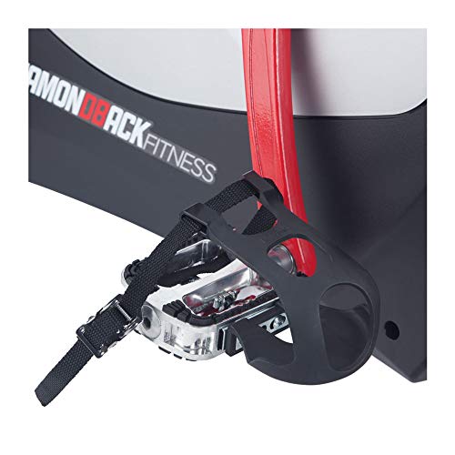 Diamondback Fitness 1260Sc Studio Cycle, Commercial Grade Rear Wheel Magnetic Resistance Spin Bike