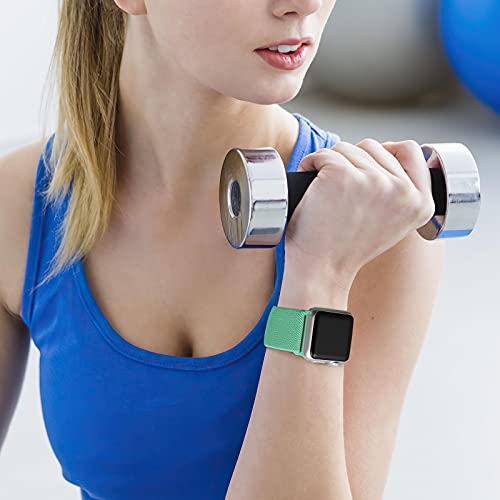 Image of DaQin 3 Pack Stretchy Solo Loop Compatible with Apple Watch Bands Men Women
