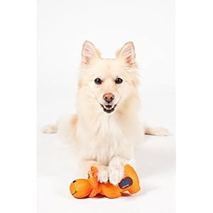 Charming pet mesh lil roamers pet squeak toy elephant   cucciolini doodles