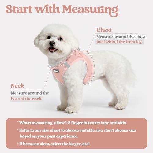 Image of rabbitgoo Dog Harness Small Sized and Leash Set, Step-in Puppy Pet Vest