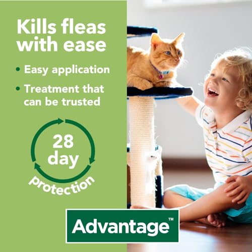Advantage Spot On Flea Treatment For Large Cats and Rabbits Over 4kg (4 pipettes, 80mg), Kills Fleas Within 24 Hours, Prevents Further Infestation For Up To Four Weeks in Cats - Image 6