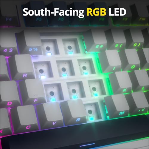 Image of surmen M75 75% Wireless Creamy Keyboard with Gasket, Pre-lubed Triple Mode Bluetooth Mechanical Gaming Keyboard BT5.0 /2.4Ghz /USB with Sound Absorbing Pads Hot-Swap(Sky Blue)