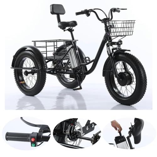 Triciclo elettrico per adulti, adatto a ragazzi e adulti, 500W 48V, 20" Fat Tire, 3 ruote, con batteria rimovibile e kit di attrezzi, adatto a tutti i terreni.