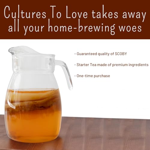 Image of Earthy Leaf | Kombucha SCOBY with Starter Tea