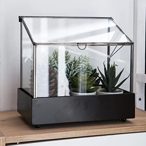 Vellon Large Glass Plant Terrarium For Fern Moss Foliage Succulent Bonsai Air Plants, Indoor Greenhouse, Black, 9.1 X 5.75 X 10.8” #TOP6