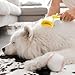2025 New Pet Bath Brush, Dog Scrubber for Bath Dog Grooming Massage Brush for Long Short Haired Dogs Cats Shower (Yellow)
