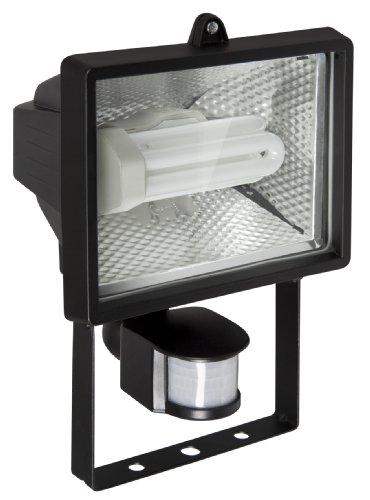 Preisvergleich Produktbild Ranex RA-5000316 Fluter mit Energiesparlampe