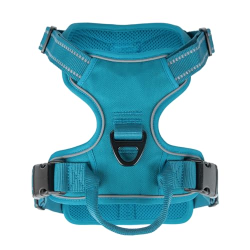 Image of Voyager Dual Attachment No Pull Harness - Turquoise, Small