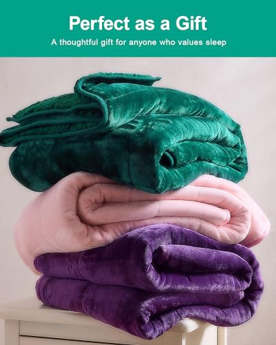 Super Fuzzy Soft Sherpa Fleece Weighted Blanket, 15 lbs Dual Sided Fluffy Heavy Weighted Blankets for Adults - No Bunching with Double Layers of Soft Inner Lining (48"x 72", 15 Pounds)