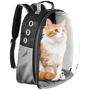 Amazon Basics Astronaut Pet Carrier Bag for Travel, Hiking and Day-Outs | Ventilation Holes and Breathable Mesh | Ideal for Cats and Small Dogs (Max. 7 kgs Recommended) | Unique Gift for Pet Parents