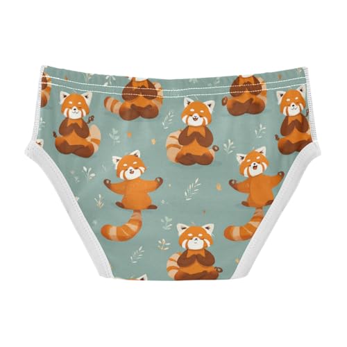 Wusikd Red Pandas Doing Yoga Boys' Underwear Cotton Boys Briefs Soft Toddler Underwear 2T2