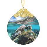 Photo Gallery lord howe island sea turtle print glass round pendant ornamenti versatile natale hanging decor festivities Photo Gallery lord howe island sea turtle print glass round pendant ornamenti versatile natale hanging decor festivities