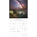 Galaxy of Stars: 12x12 Wall