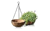 HOMIEBUDS 2 Pack Metal Hanging Planter Basket with Coco Coir Liner Chain Round Wire Plant Holder Flower Pots Hanger Garden Decoration Porch Decor Watering Hanging Baskets Indoor Outdoor