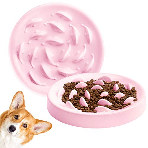 Deioxhy Slow Feeder Cat Bowl To Slow Down Eating Training,Anti Choking Gulping Bloat Indigestion Obesity Dog Cat Food Bowl,Non-Toxic Eco-Friendly Pet Slow Feed Bowl (Pink) #TOP6
