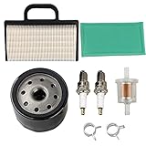 HIFROM 698754 273638 Air Filter 691035 Fuel Filter 696854 Oil Filter Spark Plug replacement for...