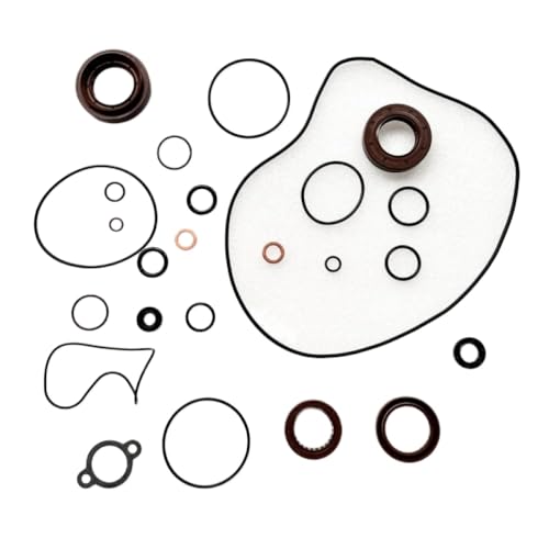 Kit d'anneau et de joint compatible avec CF500 ZFORCE UTV500 600 Side x Side