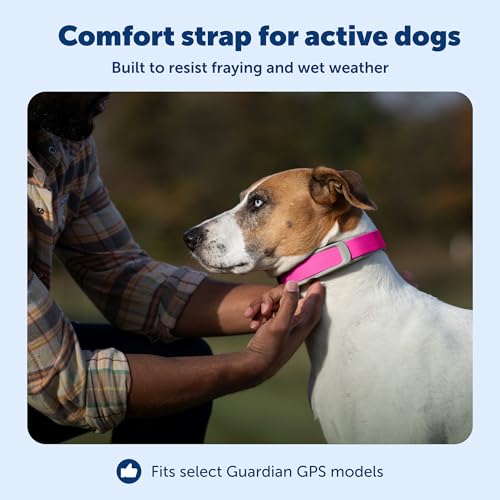 PetSafe Replacement Strap for Guardian GPS + Tracking Dog Fence Collar, Made with Soft-Touch Nylon for Enhanced Comfort and Long-Lasting Wear - Water-Wicking, Waterproof Material, Pink - Image 3