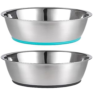 PEGGY11 Double Pack Non-Slip Stainless Steel Bowl for Dogs and Cats